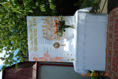 DSCN2524