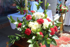 DSCN2695